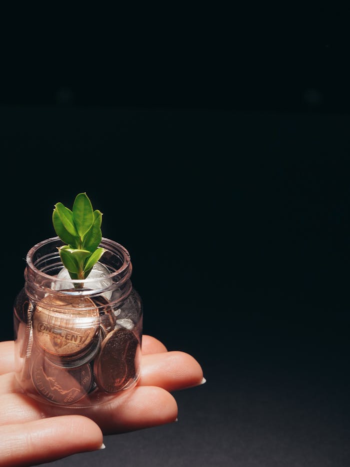 The Art of Drawing Readers In: Your attractive post title goes here A small plant growing in a glass jar filled with coins, represents financial growth and sustainability.
